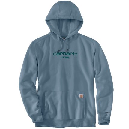 Carhartt Force Relaxed Fit Graphic Hoodie Sky