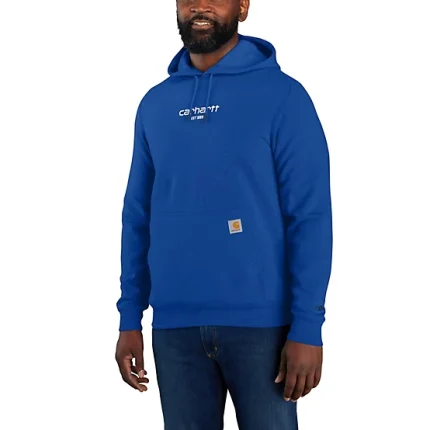 Carhartt Men's Force Relaxed Fit Graphic Hoodie Glass Blue