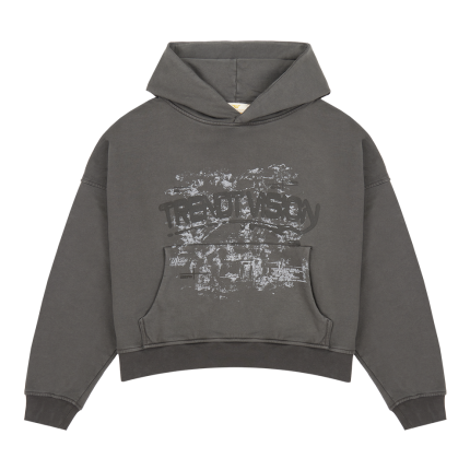 Trendt Vision Frost Grey Hoodie