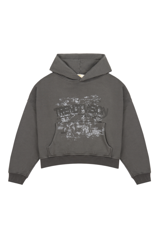 Trendt Vision Frost Grey Hoodie